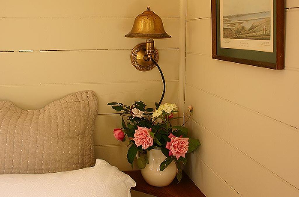 Bluff Hill Bed & Breakfast Нейпиър Екстериор снимка